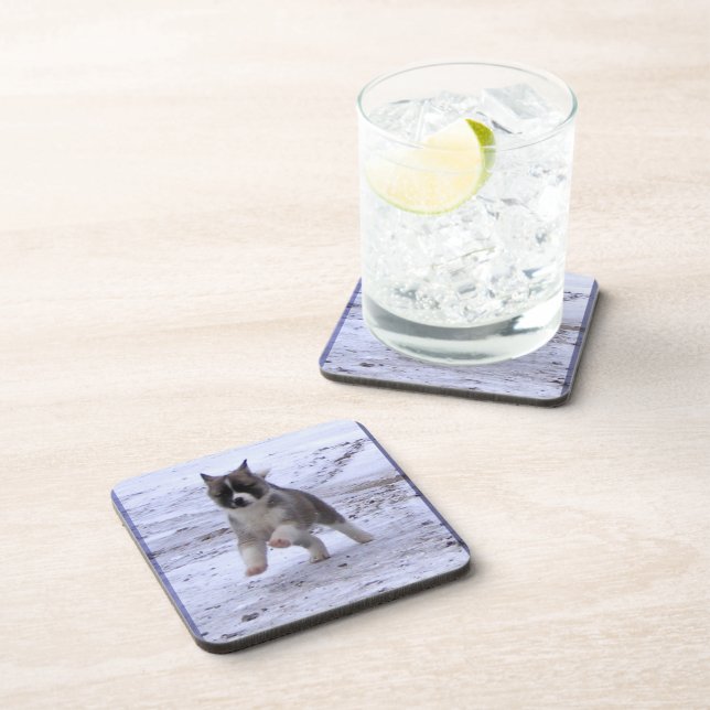 Akita Pup Drink Coaster (Right Side)