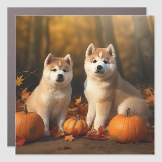 Akita Puppy Autumn Delight Pumpkin Car Magnet (Front)