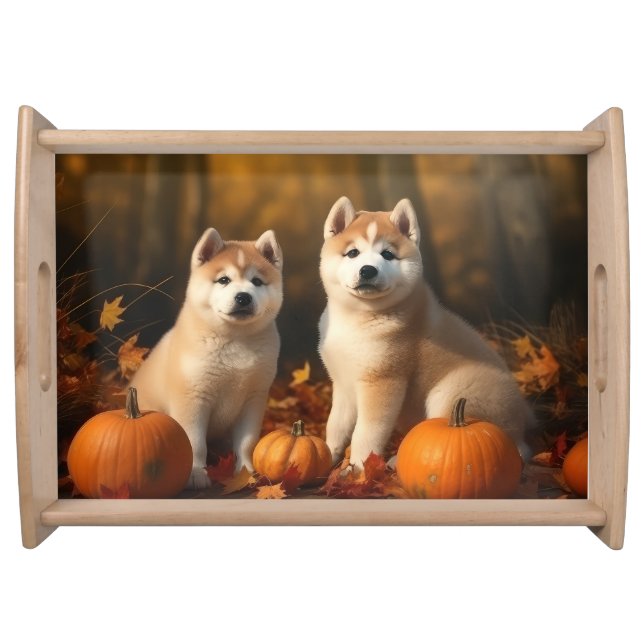 Akita Puppy Autumn Delight Pumpkin Serving Tray (Front)