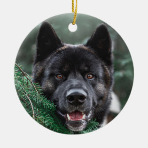 Akita Puppy Dog in A Pine Forest Christmas Ceramic Ornament