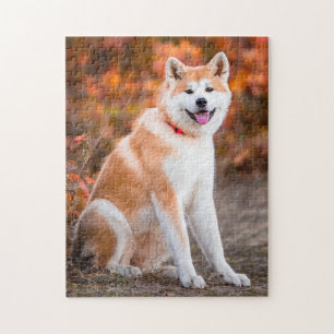 Akita sitting jigsaw puzzle