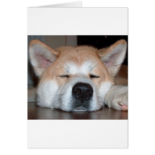 akita sleeping.png cards (Front)
