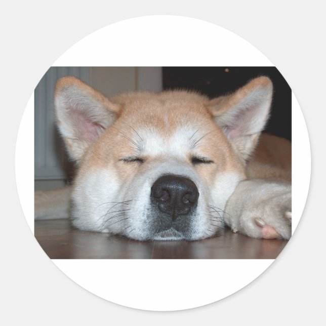akita sleeping.png classic round sticker (Front)