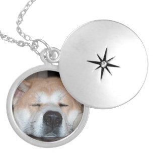akita sleeping.png silver plated necklace