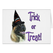 Akita Trick (Front Horizontal)