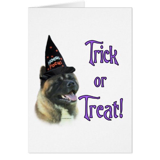 Akita Trick Cards (Front)