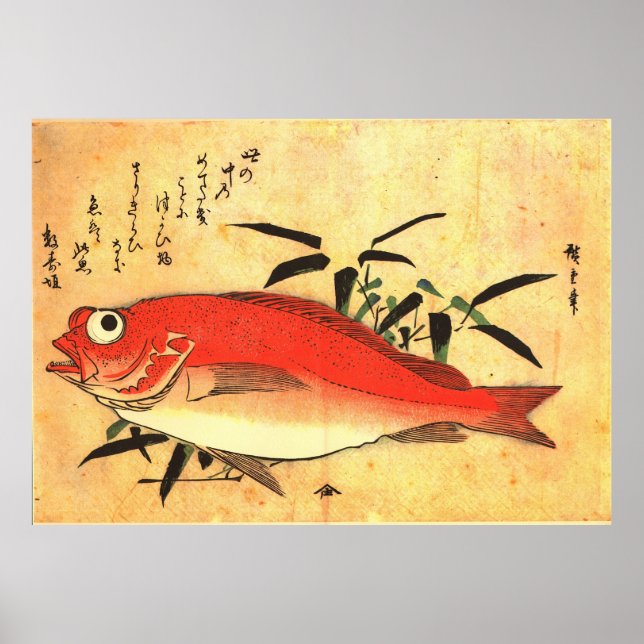 Akodai - Hiroshige's Colorful Japanese Fish Print (Front)