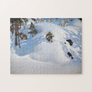 Akseli Gallen-Kallela - February Vision Jigsaw Puzzle