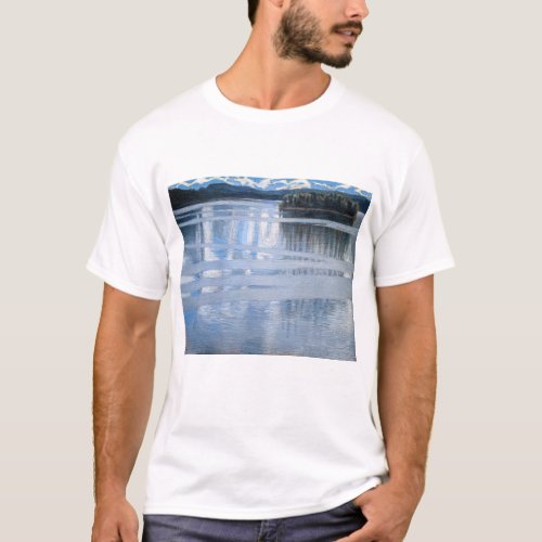 Akseli Gallen_Kallela _ Lake Keitele T_Shirt