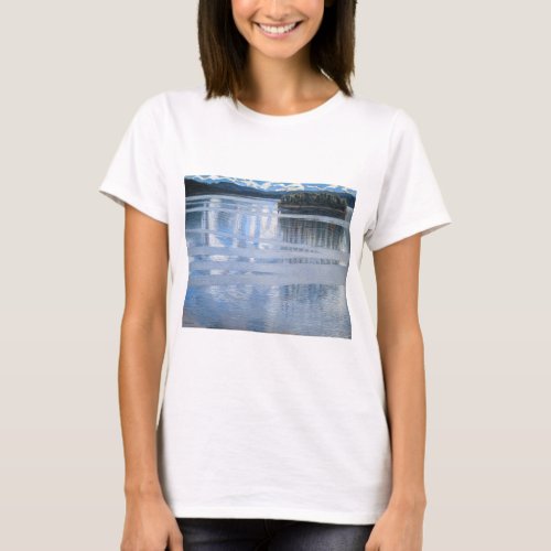 Akseli Gallen_Kallela _ Lake Keitele T_Shirt