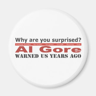 Al Gore Warned Us Magnet