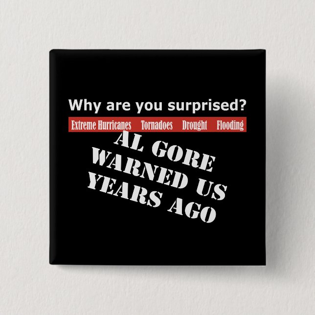 Al Gore Warned Us Pinback Button (Front)