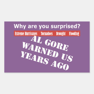 Al Gore Warned Us Rectangular Sticker