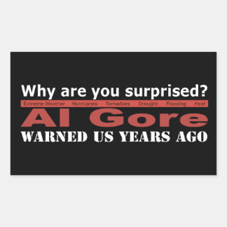 Al Gore Warned Us Rectangular Sticker