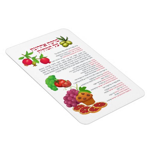 Al haMichya Hebrew Blessing After Food Colorful Magnet