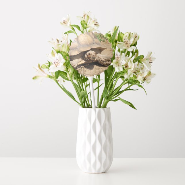 Ala aldabra balloon (Vase)