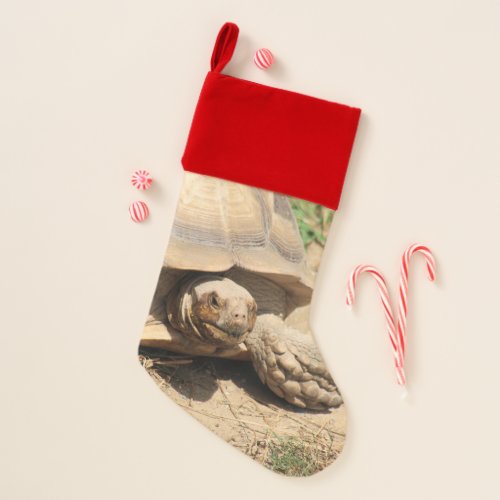 Ala Aldabra Christmas Stocking