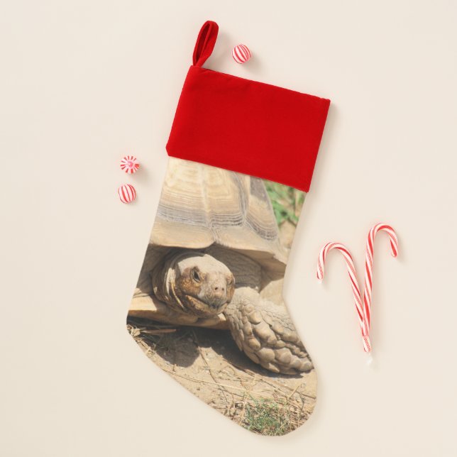 Ala Aldabra Christmas Stocking (Front)