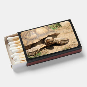 Ala aldabra matchboxes