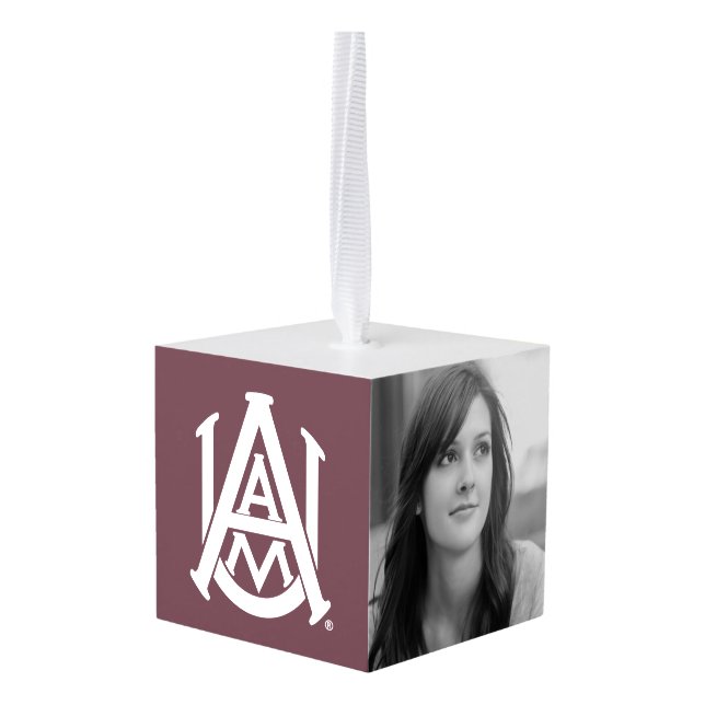 Alabama A&M Logo Cube Ornament (Back Angled)