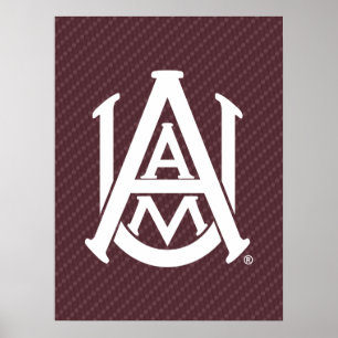 Alabama A&M University Carbon Fiber Poster