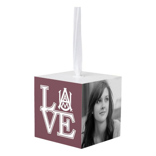 Alabama A&M University Cube Ornament (Back Angled)