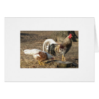 Alabama Blue Rubble Long-Tail Gamecock Cards