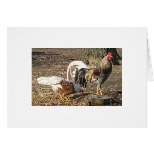 Alabama Blue Rubble Long-Tail Gamecock Cards (Front Horizontal)