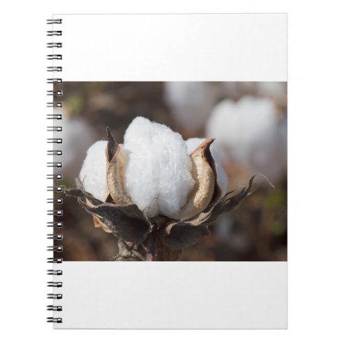 Alabama Cotton Boll Notebook