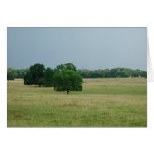 Alabama Landscape (Front Horizontal)