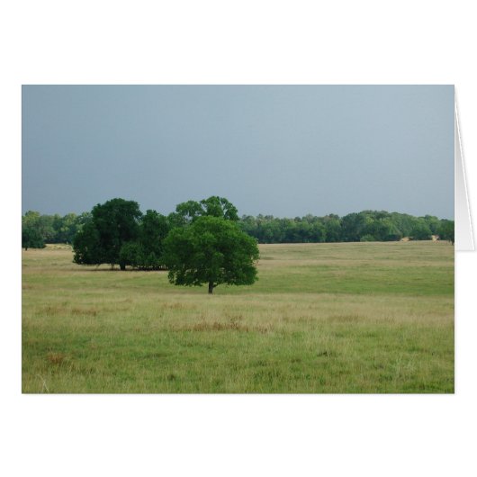 Alabama Landscape Cards (Front Horizontal)