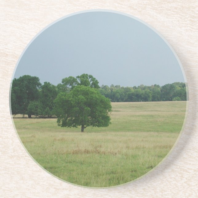 Alabama Landscape Drink Coaster (Front)