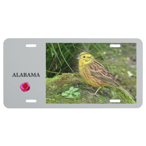 Alabama State Bird And Flower License Plate