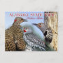 Alabama State Bird - Northern Flicker Postcard