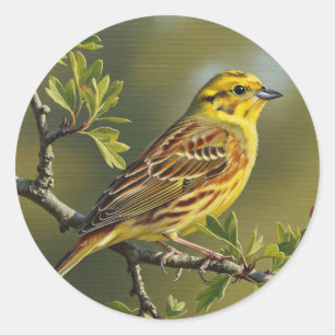 Alabama State Bird Yellowhammer Classic Round Sticker