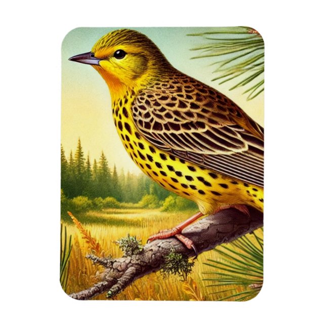 Alabama State Bird Yellowhammer Magnet (Vertical)
