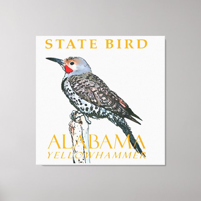 Alabama Territory Bird The Common Flicker Canvas Print (Front)