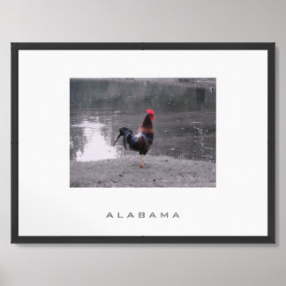 Alabama Wildlife Travel Poster