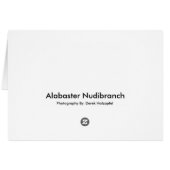 Alabaster Nudibranch Cards (Back Horizontal)