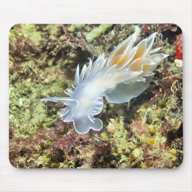 Alabaster Nudibranch Mouse Pad (Front)