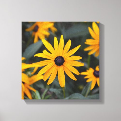 Alacer Canvas Print