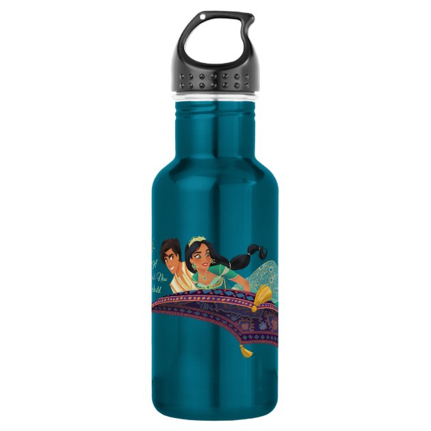 aladdin stainless steel water bottle
