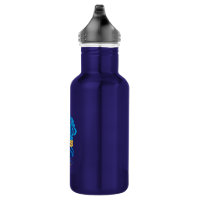 Aladdin 22 oz. Stainless Steel Water Bottle