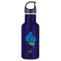 Aladdin 22 oz. Stainless Steel Water Bottle