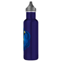 Aladdin 22 oz. Stainless Steel Water Bottle