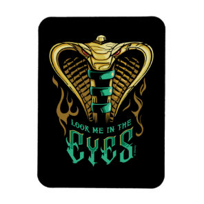 Aladdin | Look Me In The Eyes Magnet