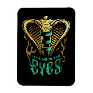 Aladdin Look Me In The Eyes Magnet