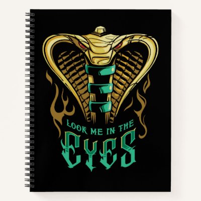 Aladdin | Look Me In The Eyes Notebook