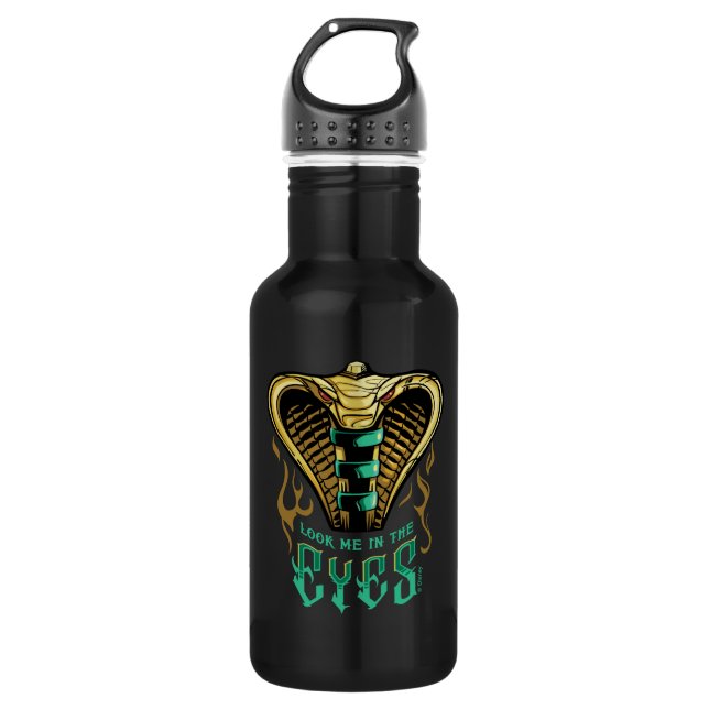 Aladdin | Look Me In The Eyes Stainless Steel Water Bottle (Front)