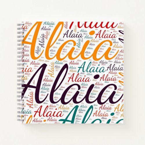Alaia Notebook